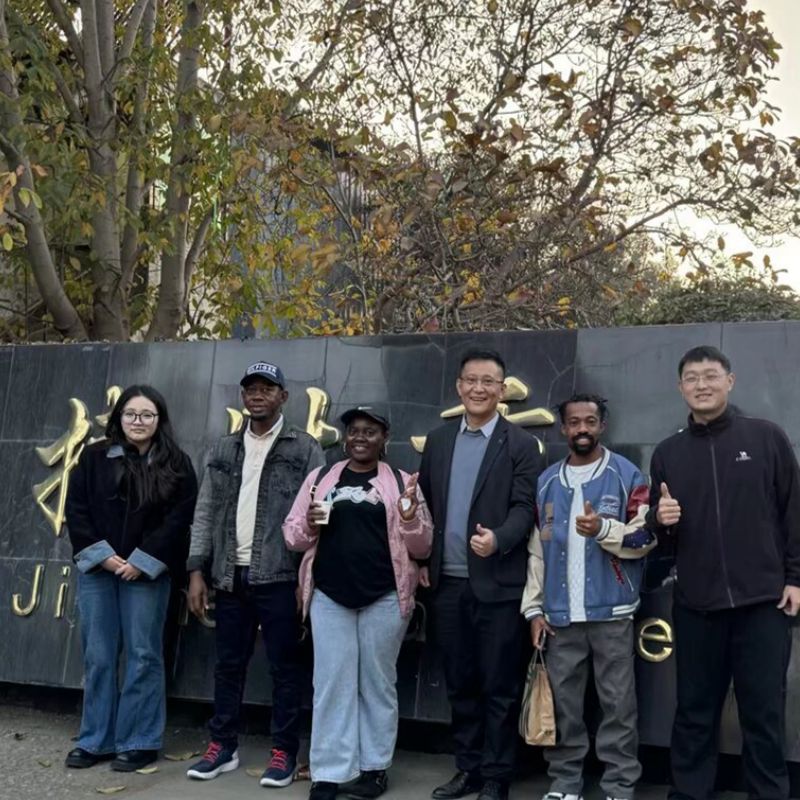 Hydraulic Track Pin Press