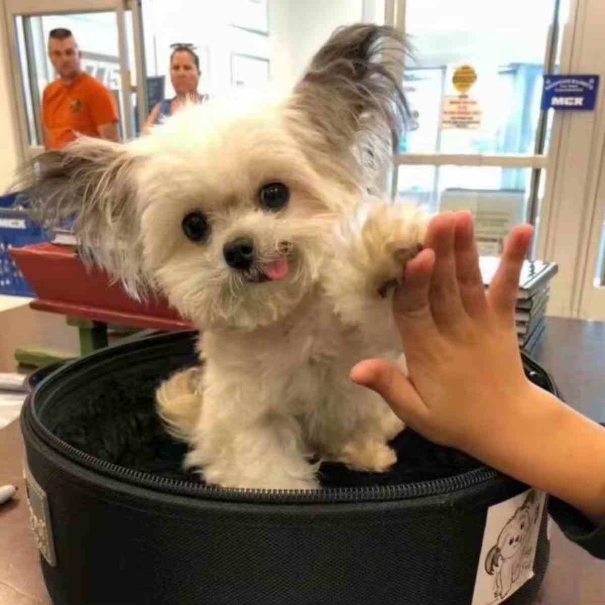 Hydraulic Track Pin Disassembly Machine